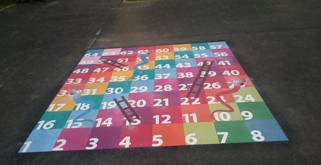 Colourful Snakes And Ladders in Broomhill